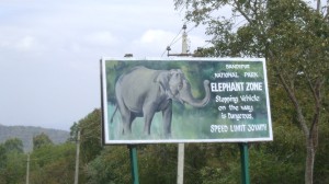 Bandipur National Park