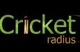 Back to Entrepreneurship – Circa 2012, and what is CricketRadius?