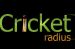 Back to Entrepreneurship – Circa 2012, and what is CricketRadius?