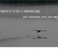 10 Favorite Quotes on Forgiving and Embracing Freedom