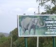 Bandipur Ride